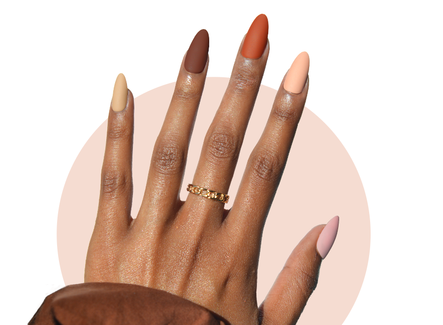 Fall Color Collection Fall Color Collection