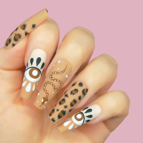 Fawn
