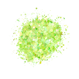 SP218 Loose Glitter Swatch