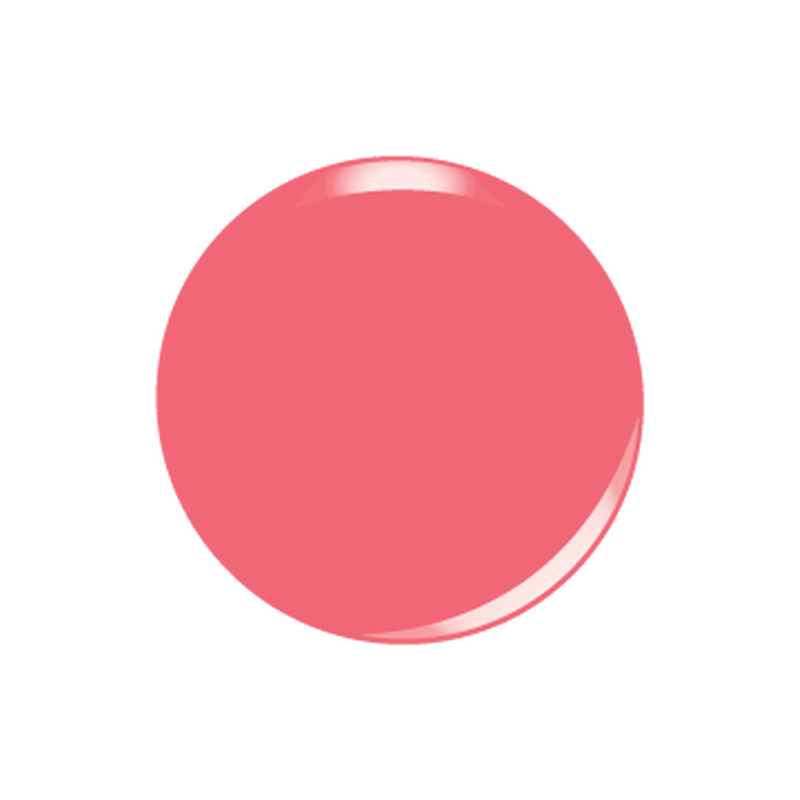 All-in-one Swatch - D5047