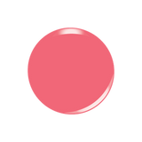 All-in-one Swatch - D5047