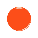 All-in-one Swatch - D5091
