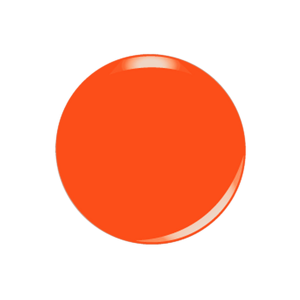 All-in-one Swatch - D5091