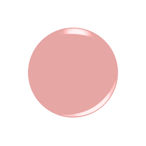 All-in-one Swatch - D5004