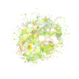 SP220 Loose Glitter Swatch