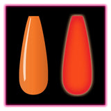DG106 Swatch