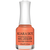 N534 Lacquer Bottle