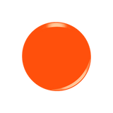 All-in-one Swatch - D5097